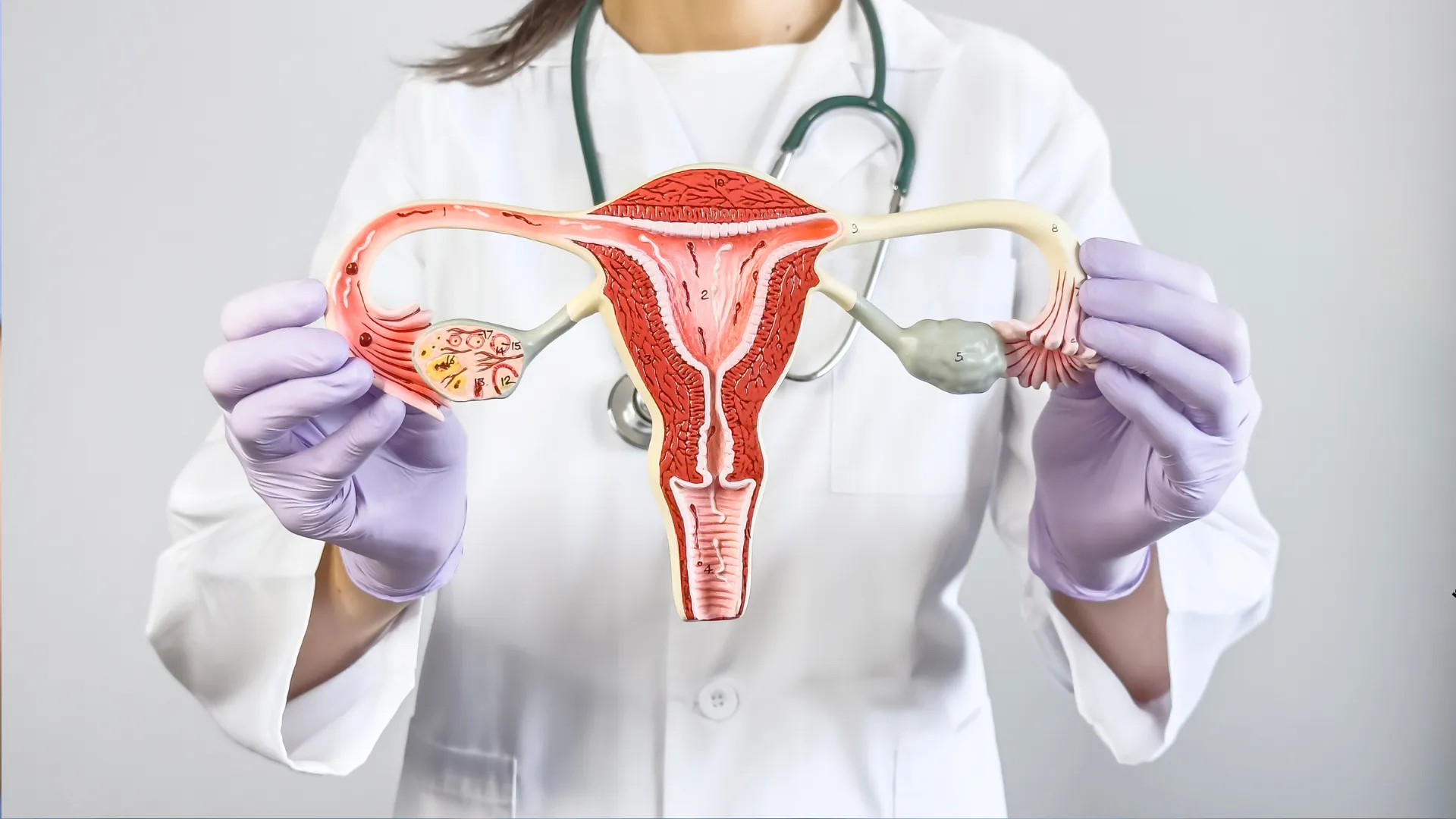 Usługa Biopsja aspiracyjna endometrium z badaniem histopatologicznym (zabieg) w CM Femmemedica