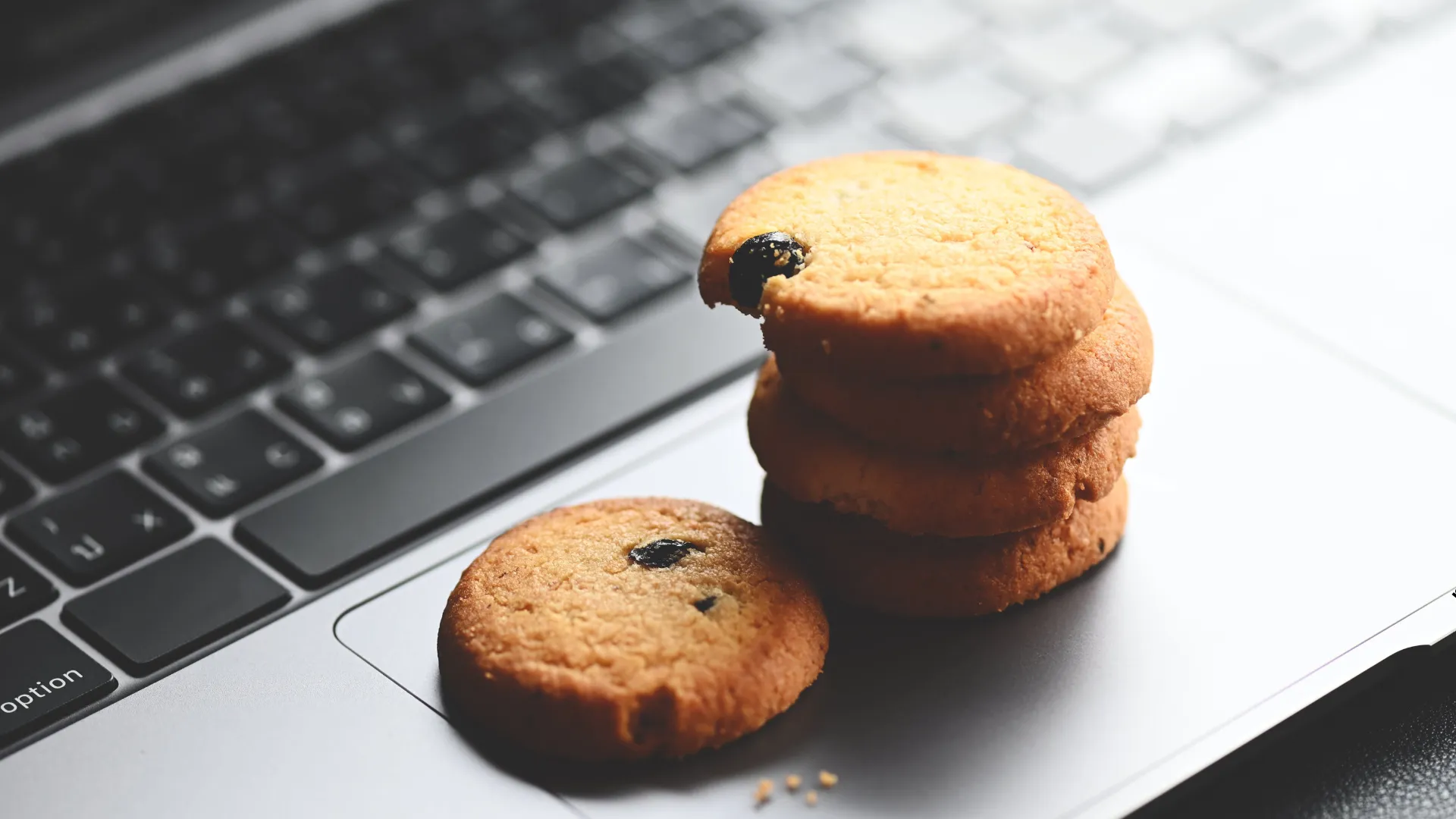 Polityka Plików Cookies w Centrum Medycznym Femmemedica w Krakowie